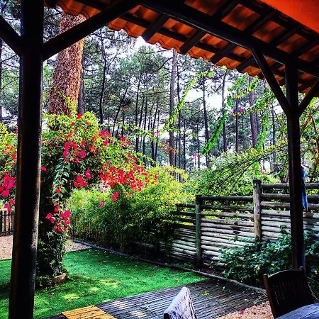 Dolphin Aroeira Beach Villa 차르네카 외부 사진
