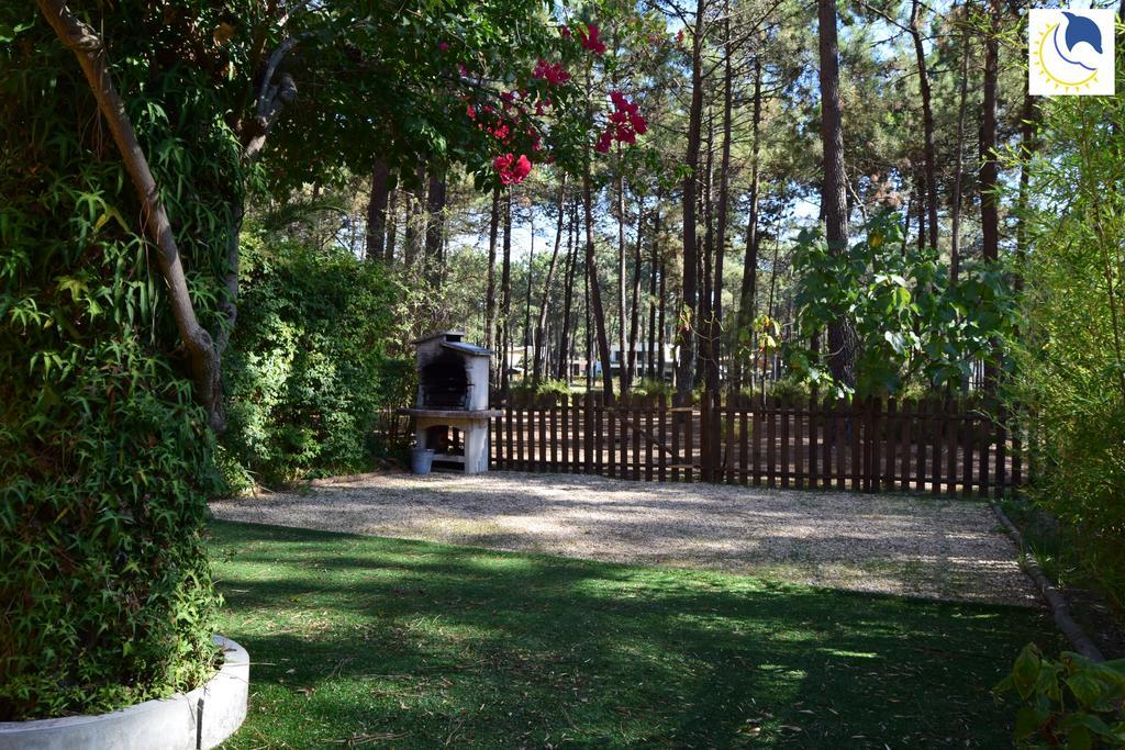 Dolphin Aroeira Beach Villa 차르네카 외부 사진