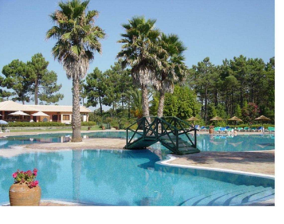 Dolphin Aroeira Beach Villa 차르네카 외부 사진